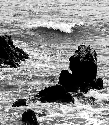 Photos noir et blanc